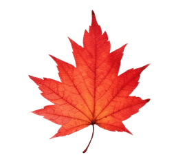 Maple leaf loader